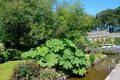 Trout Farm Garden and River Coln, Bibury. Royalty Free Stock Photo