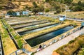 Trout fish farm at Ingenio in Junin, Peru Royalty Free Stock Photo