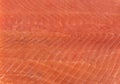 Trout fish fillet texture background. Fresh fillet wild trout. Fresh whole fillet surface Royalty Free Stock Photo