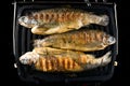 trout fish on the grill during cooking Royalty Free Stock Photo