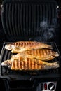 trout fish on the grill during cooking Royalty Free Stock Photo