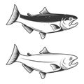 Trout fish icons isolated on white background. Design element for logo, label, emblem, sign, brand mark. Royalty Free Stock Photo