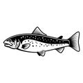 Trout fish sign on white background. Salmon fishing. Design element for logo, label, emblem, sign. Royalty Free Stock Photo