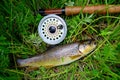 Trout fishing Royalty Free Stock Photo