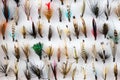 Trout Fishing Flies in a Foam Fly Box Royalty Free Stock Photo