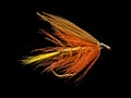 Trout Fishing Fly