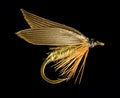 Trout Fishing Fly