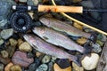 Trout Fishing Success Royalty Free Stock Photo