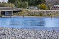 Trout Fishing at Turangi in New Zealand Royalty Free Stock Photo