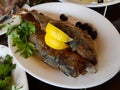 Trout fried fish. Royalty Free Stock Photo