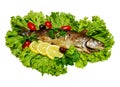 Trout. Fried fish on lettuce. Royalty Free Stock Photo