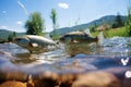 Trout gracefully gliding through the clear, cold waters of the river. AI Generated Royalty Free Stock Photo