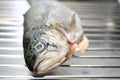 Trout on grill Royalty Free Stock Photo