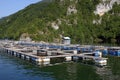 Trout hatchery on river