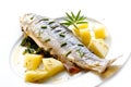 Trout with herbs