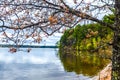 Trout Lake, Villas County, Wisconsin Royalty Free Stock Photo