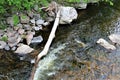 Trout River Stream, Franklin County, Malone, New York, United States Royalty Free Stock Photo