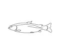 Trout, salmon continuous line drawing. One line art of predatory fish, seafood, marine animals. Royalty Free Stock Photo