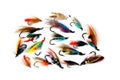 Trout and Salmon Fishing Flies on White Royalty Free Stock Photo