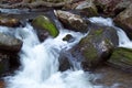 Trout Stream Royalty Free Stock Photo