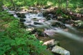 Trout Stream in the Blue Ridge Mountains Royalty Free Stock Photo