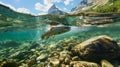 Trout swims underwater in mountain river, view of wild fish in freshwater and blue sky. Concept of salmon, wildlife, under water, Royalty Free Stock Photo