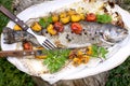 Trout with tomatoes Royalty Free Stock Photo