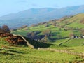 The Troutbeck Valley. Royalty Free Stock Photo