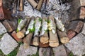 Trouts filled with herbs, seasoning and lemon wired on sticks lying on the edge of fire, outdoors camping