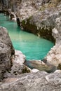 Trouts in pure river soca in canyon gorge, julian alps, slovenia Royalty Free Stock Photo