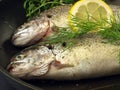 Trouts ready for frying, closeup Royalty Free Stock Photo