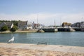 Seagull on the Trouville embankment