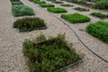 Trowel area of the yard inside which are small squares for growing herbs or ornamental plants. the flower pots are separated by pe Royalty Free Stock Photo