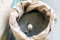 Trowel and cement powder