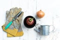 Trowel, hand fork, hoe fork, gardening glove and onion pot plant on wooden background