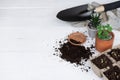 Trowel, hand fork, hoe fork, gardening glove and aloe vera pot plant on wooden background