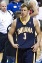 Troy Murphy of The Indiana Pacers Royalty Free Stock Photo