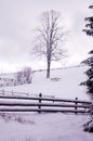 Truck in the backyard. Wooden fence. Village in winter Royalty Free Stock Photo