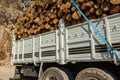Truck body with firewood branches and tree trunks loaded fixed and ready for transportation Royalty Free Stock Photo