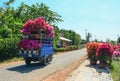 The truck carrying flowers on street in Mekong Delta, Vietnam