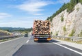 Truck carrying wood on motorway. Royalty Free Stock Photo