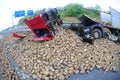 Truck destroy by turnips panaroma