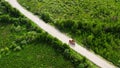 Truck drives along road surrounded by trees, bushes