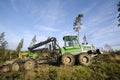 Truck and forest clearing