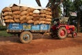 A truck full of crops