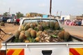 Truck full of fresh ripe pineapples at the fruit market in Uganda - Africa. Ananas