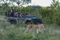 Truck full of photographers on Kruger national park, South Africa