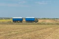 Truck with grain