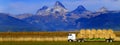 Truck Hauling Hay with Teton Mountains in Background