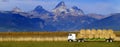 Truck Hauling Hay with Teton Mountains in Background